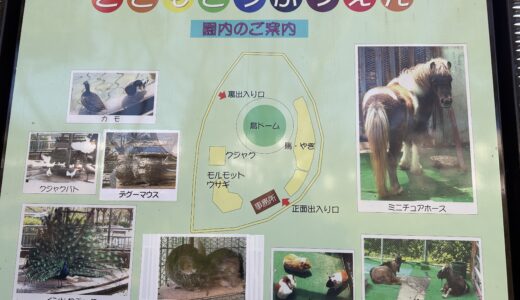 【八幡市こども動物園】に1歳子連れで行ってきた。駐車場・トイレ・エサやりなどクチコミ&レビュー！