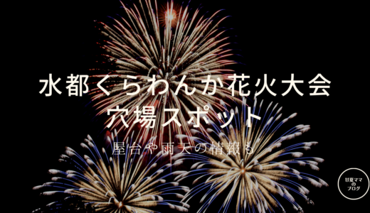 水都くらわんか花火大会２０２４穴場スポットと屋台や雨天時の延期についても