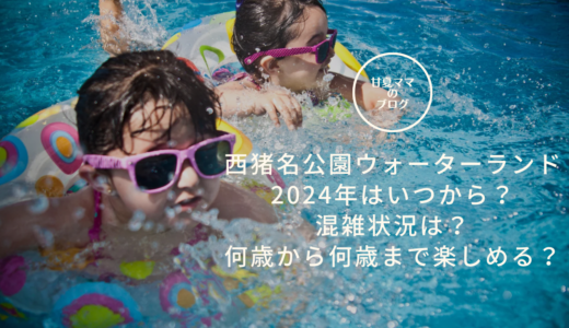 西猪名公園ウォーターランド２０２４年はいつから？混雑状況や何歳から何歳まで楽しめるかも！