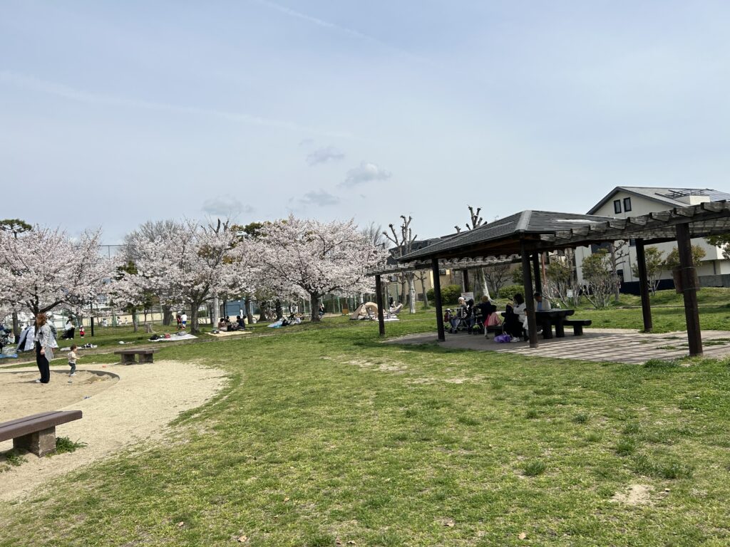 高槻城跡公園の桜とベンチ